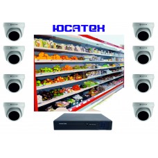Комплект видеонаблюдения для магазина (AHD) №3